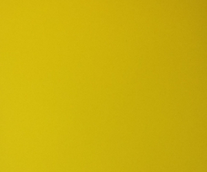 Yellow Rich